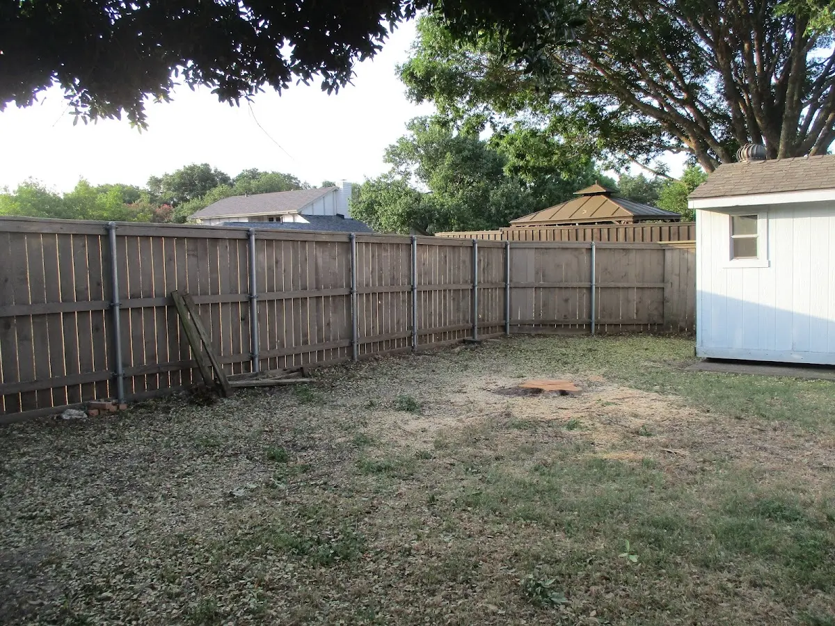 Cleared yard after professional tree removal in South Seaville